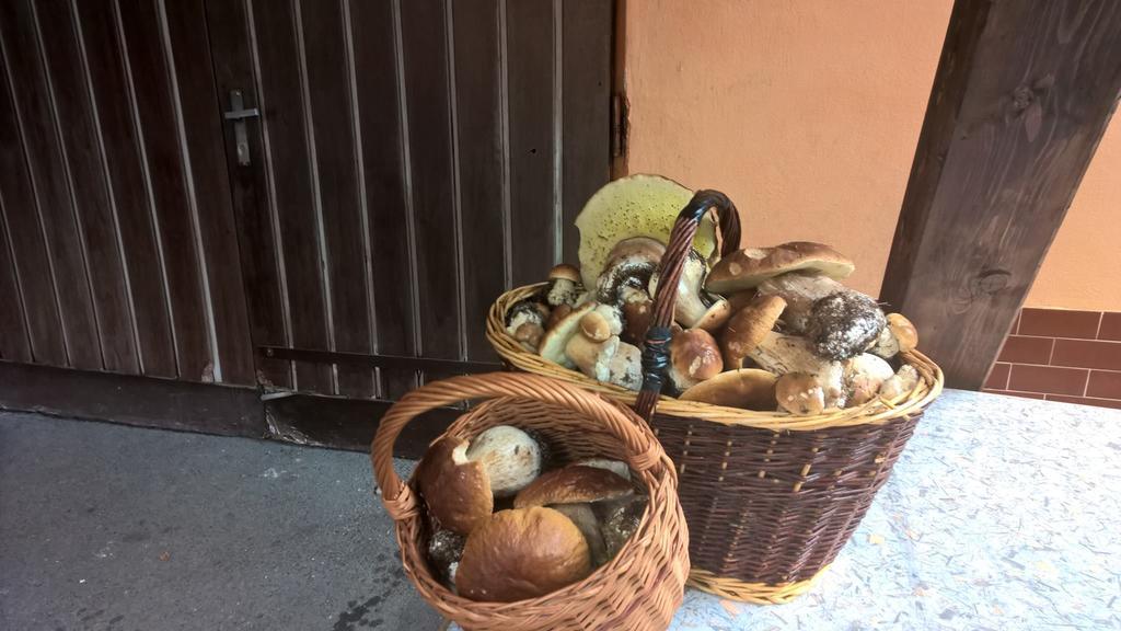 Penzion Jizerka Jablonec nad Nisou Extérieur photo